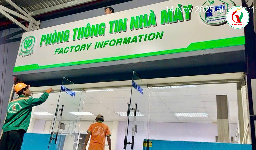 SAO VIỆT QUY NHƠN – GIẢI PHÁP TOÀN DIỆN VỀ QUẢNG CÁO, SỰ KIỆN VÀ IN ẤN TẠI QUY NHƠN